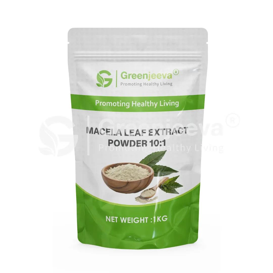 Macela Leaf Extract Powder 10-1 Pouch Macela Leaf Extract Powder 10-1 Pouch